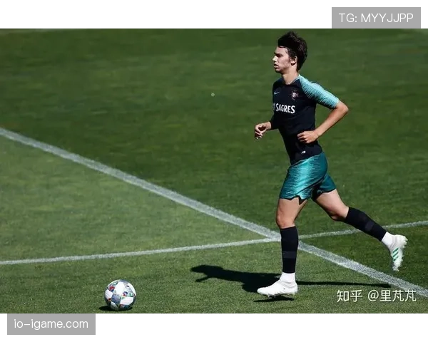 菲利克斯技术特点解析